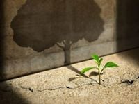 QQMG Ideal Avenue for Growth/ESG Combination