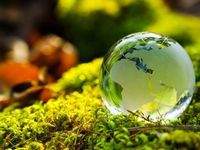 COP27: Decarbonization Is Front and Center Again