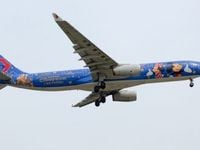 Unlike Most Travel ETFs, JRNY Holds Disney