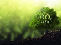 Target Carbon Reduction Efforts Through VCEB