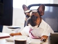 SDOG Maintains Significant Lead Over S&P 500