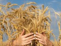 Declining Production Could Push This Wheat ETF Higher