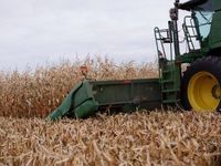 For 2023, ING Sees Agricultural Commodities Skewed to the Upside
