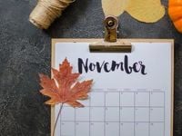 EQL and OUSM Lead Across ALPS’ ETFs in November Flows