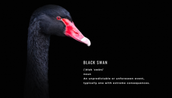 swan crypto