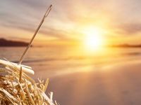 New ETF Seeks Specific Needles in Haystack of Needles