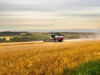 Smooth Out Agricultural Market Volatility With TILL
