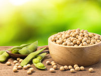 Soybean Prices in 2023 Could Depend On Brazil