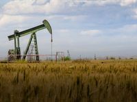 Focusing on Fundamentals: Oil Price Update and Outlook
