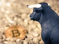 Large Scale Country Adoption Could Trigger Next Bitcoin Bull Run