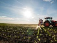 NBCM Could Be Impacted by Boom in Agriculture Sector