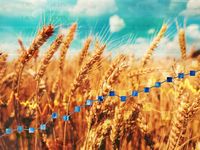 Aim for the Resilient Commodities Sector With NBCM