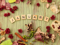 End of January Continues Equal Weight Outperformance 