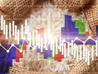 Assets Continue to Flow Into Active Commodity ETF PDBC