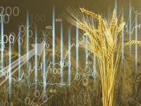 Wheat Prices May Stay Elevated Through Next Year
