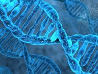 These Segments May Power ARK Genomics ETF