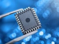 Among Chip Stocks, Bargains Abound