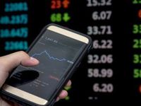 In January, NSPI Offered Volatility Reduction