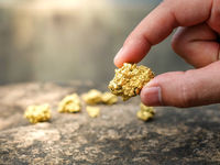 Weekly Asset Flows - There’s Gold in Those ETFs