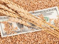 Absorb the Shock of Market Volatility With Commodities