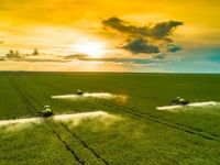 MOO Could Be Marvelous for Farm Investment Outlook