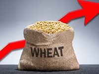 A Warmer Summer Could Push Wheat Prices Higher