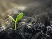 ESG ETFs May Find Audience With Younger Investors