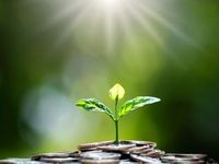 ETFs Give Access to Sustainable Investing Strategies