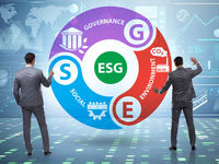 Use Direct Indexing for Customizing ESG Investments
