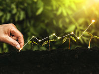 Finding Growth Without Mega-Cap Tech