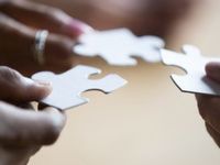 OSEA Highlights That Active Management Adds Value