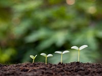 Long-Term Tech Thesis Supported by Secular Growth