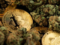 Top Performing ETFs: Crypto and Cannabis Funds