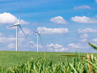 Tidal and CNIC Launch Carbon Neutral Commodities ETF