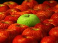 Which Fixed Income ETFs Stand Out in the Current Environment?
