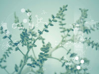 In BBH, Find A Bevy of Biotech Bargains