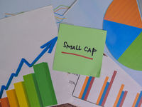 2 Quality Small Caps to Keep an Eye on in OUSM