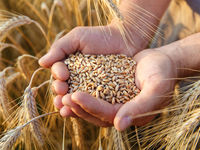 China Ramps Up Commodities Purchases From Russia