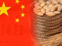 China's Shift From Corn to Wheat May Slow Imports