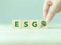 ESG Priorities Alive and Well Within These ETFs