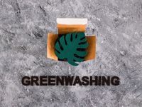 Direct Indexing Counters Greenwashing