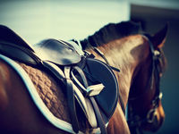 Ride Interest in Small Cap ETFs With This Duo