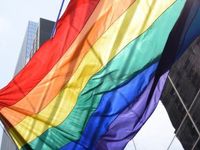 Why Do Inclusive Firms Thrive?
