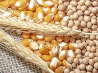 U.S. Agricultural Exports Could Fall This Summer