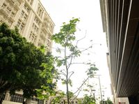 June Gloom May Not Descend on the Retail Sector