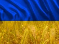 No Signs of Black Sea Grain Deal Have Emerged