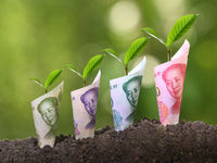 Take Root in China’s Green Initiatives Using KraneShares