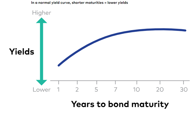 The Beginner's Guide To Bond Markets