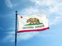 California Carbon Allowances Are a Less Volatile Commodity