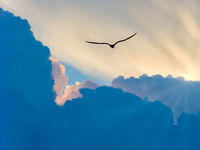 With XTWO, Take Advantage of Soaring Treasury Yields